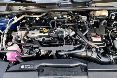 2025 Toyota Prius XLE