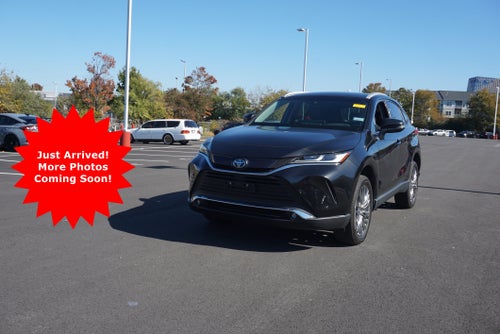 2023 Toyota Venza XLE