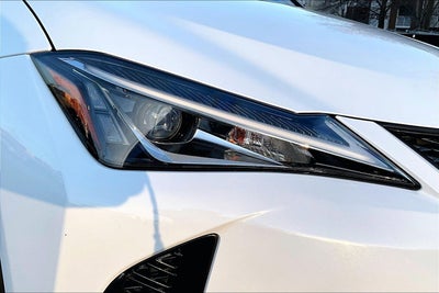 2019 Lexus UX UX 250h F SPORT