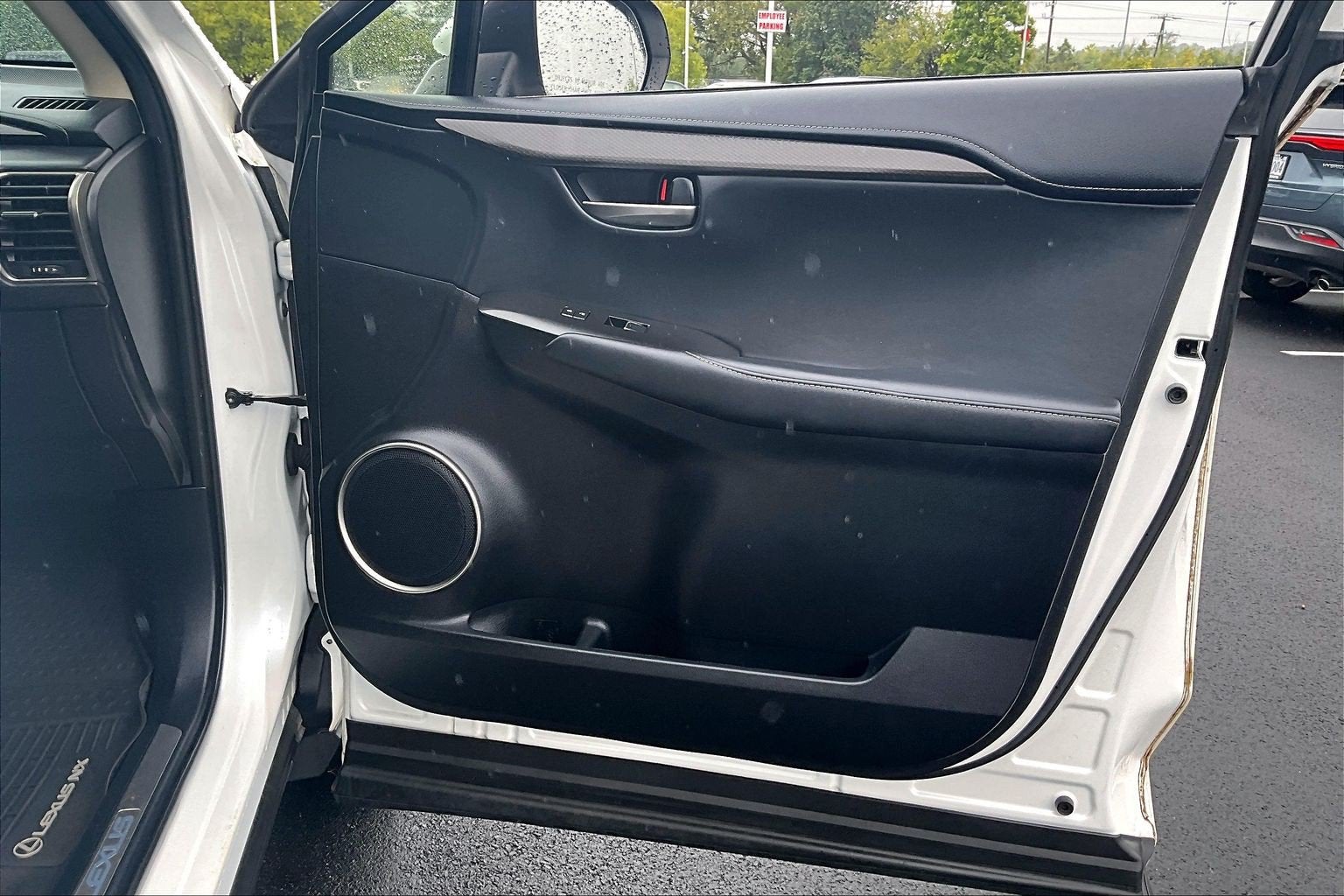 2018 Lexus NX NX 300