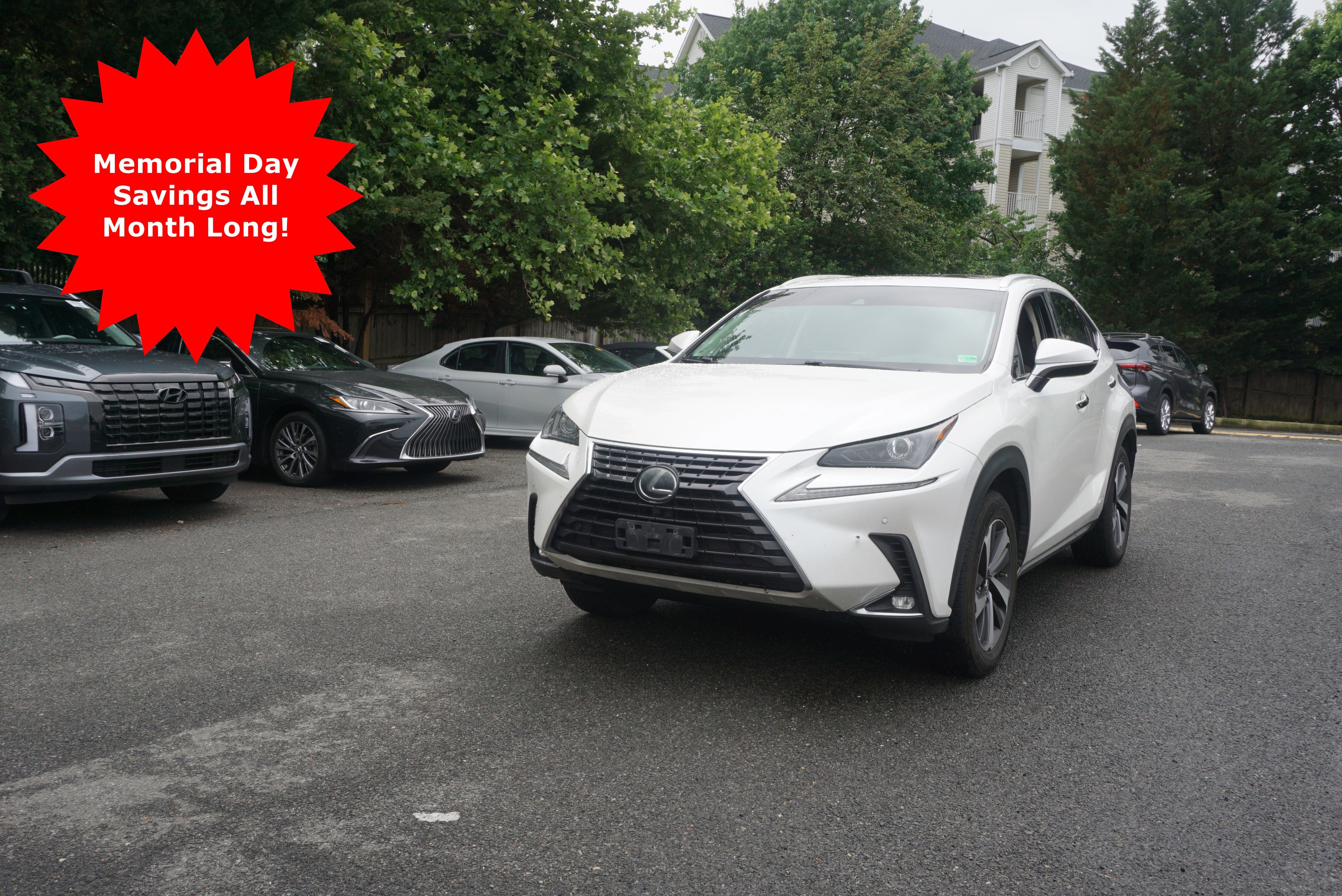 2019 Lexus NX 350h 300h AWD's photo