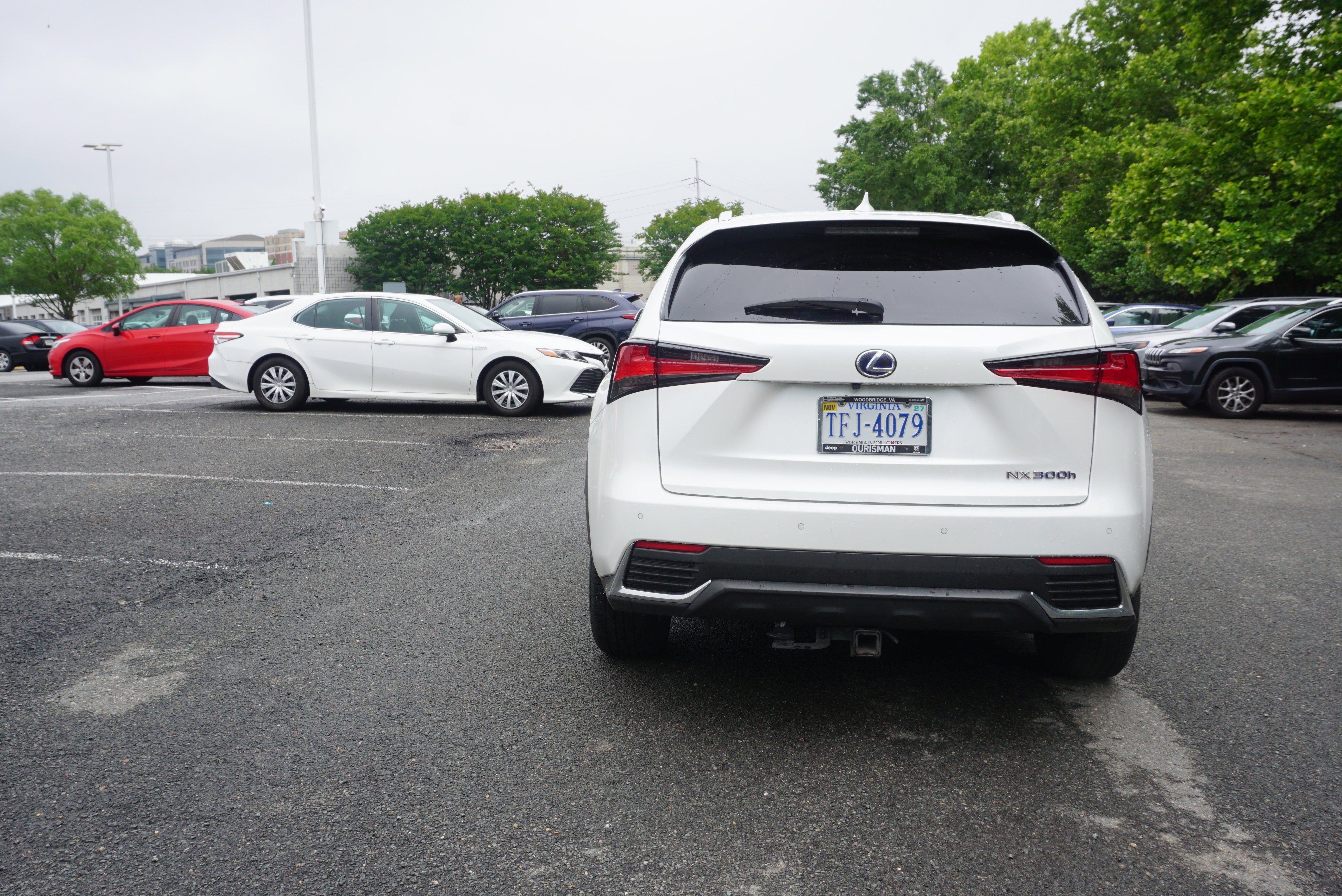 2019 Lexus NX NX 300h