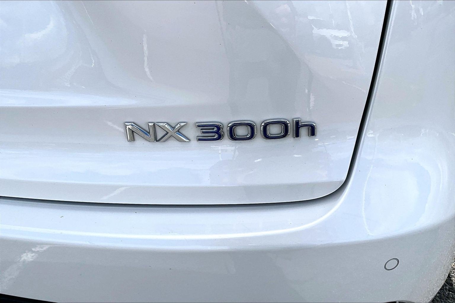 2021 Lexus NX NX 300h