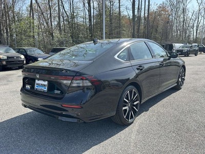 2024 Honda Accord Hybrid Touring